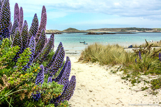 Beach on the Isles of Scilly