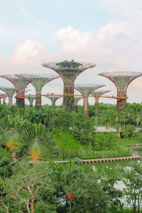 10 Unexpected Fun Things To Do In Singapore (47)