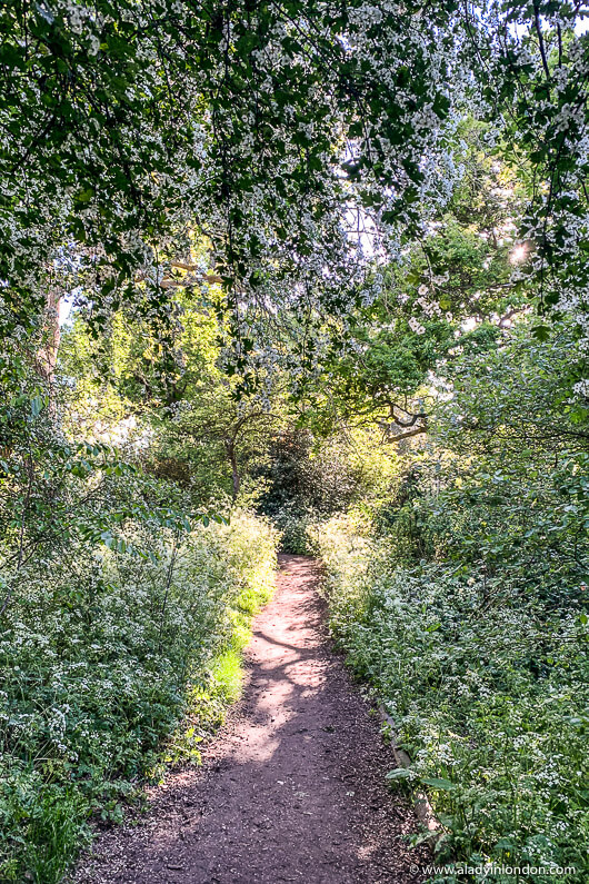 Dulwich Park Path