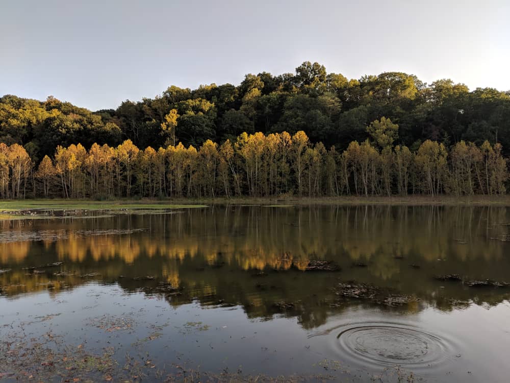 Griffy Lake Nature Preserve