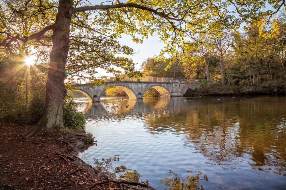 Clumber Park - most beautiful places to visit in Nottinghamshire