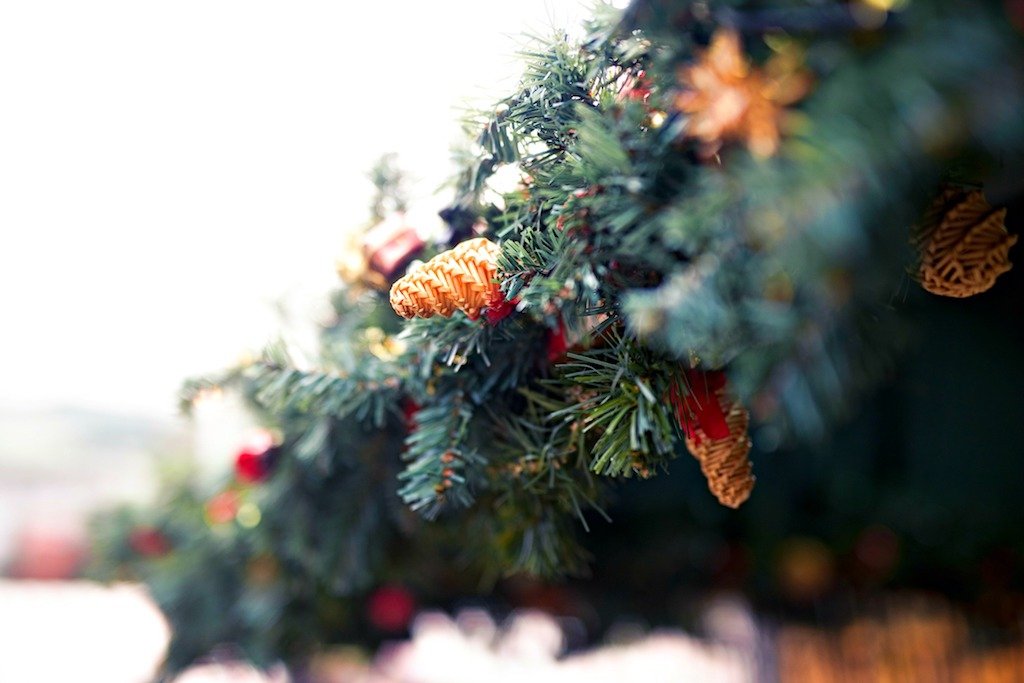 Christmas Tree Bavaria