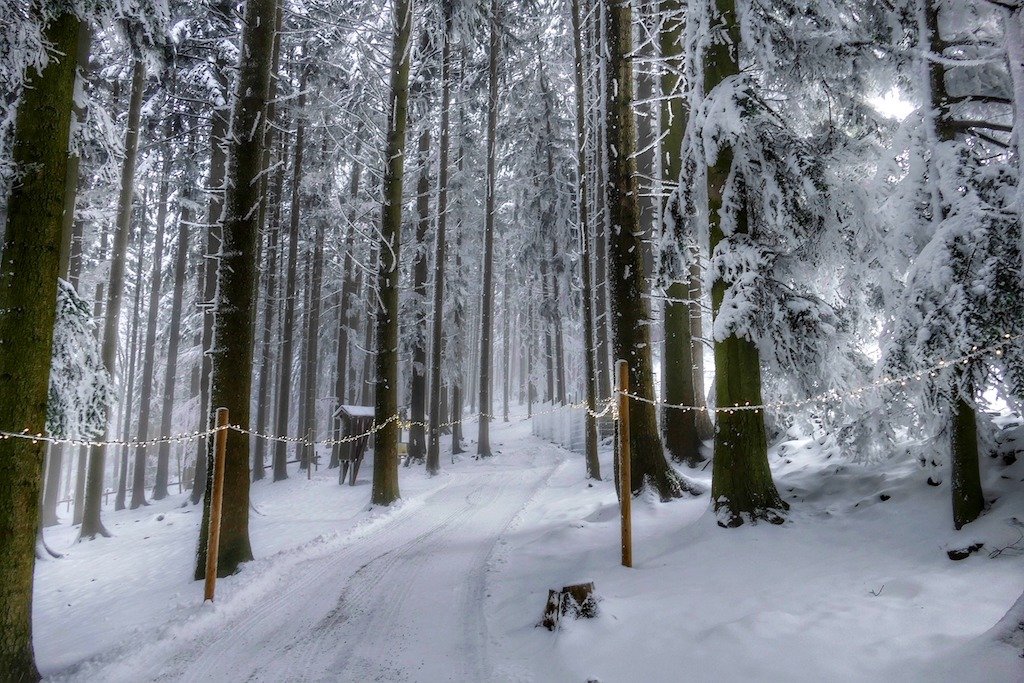 Winter in the the Bavarian Forest