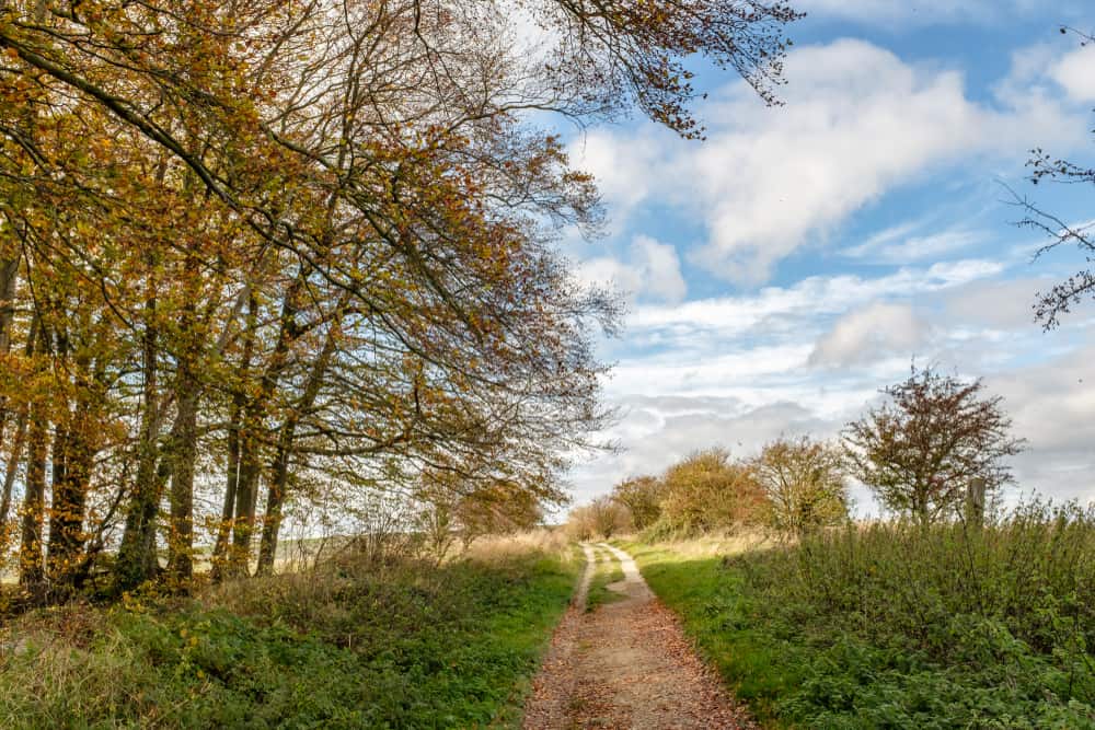 Ridgeway Trail Oxfordshire