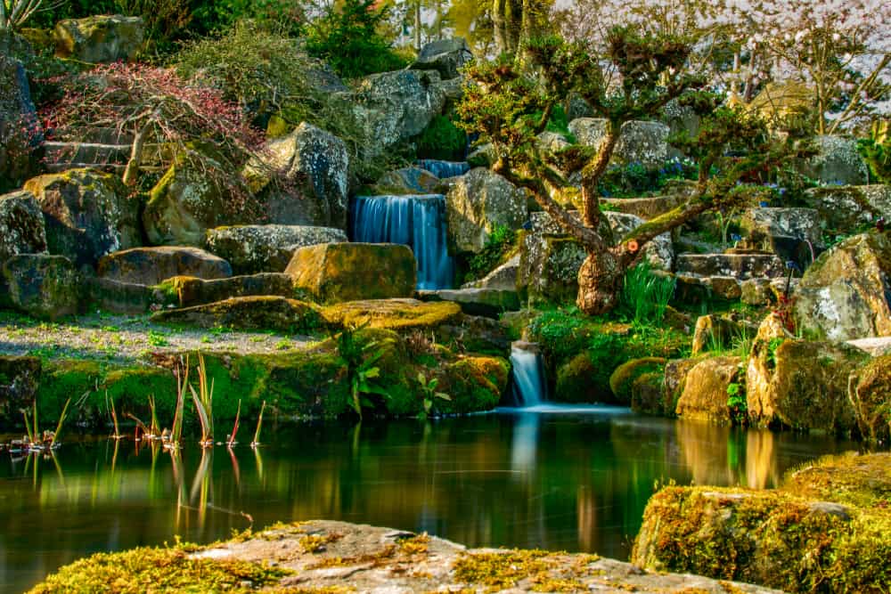 Wisley Gardens Surrey