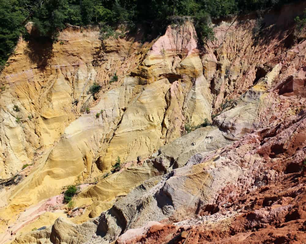 Red Bluff – Mississippi's own little grand canyon