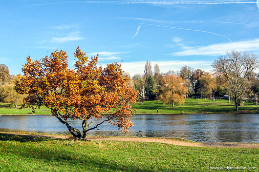 Autumn in Hampstead Heath, London