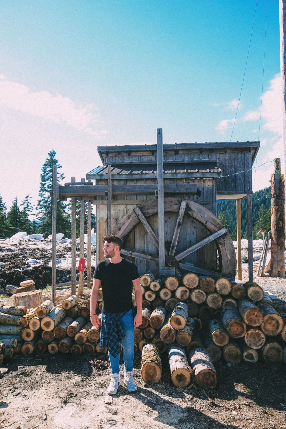 Finding Grizzly Bears On Grouse Mountain... In Vancouver, Canada (47)