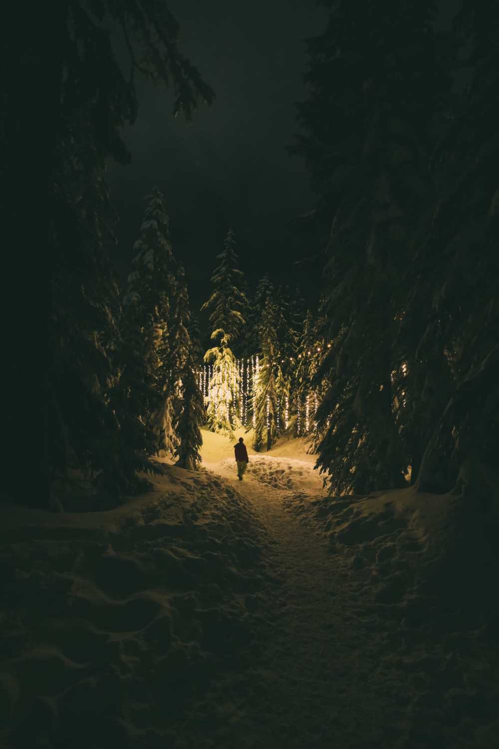 Places To See On A Drive From Vancouver To Calgary (3)