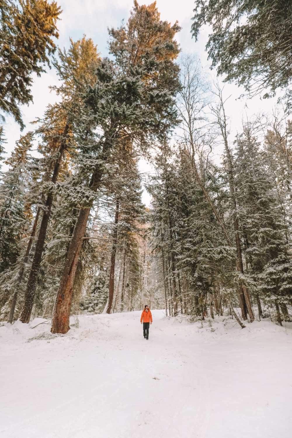 Places To See On A Drive From Vancouver To Calgary (8)