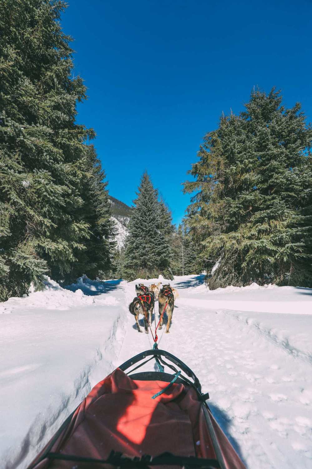 Places To See On A Drive From Vancouver To Calgary (24)