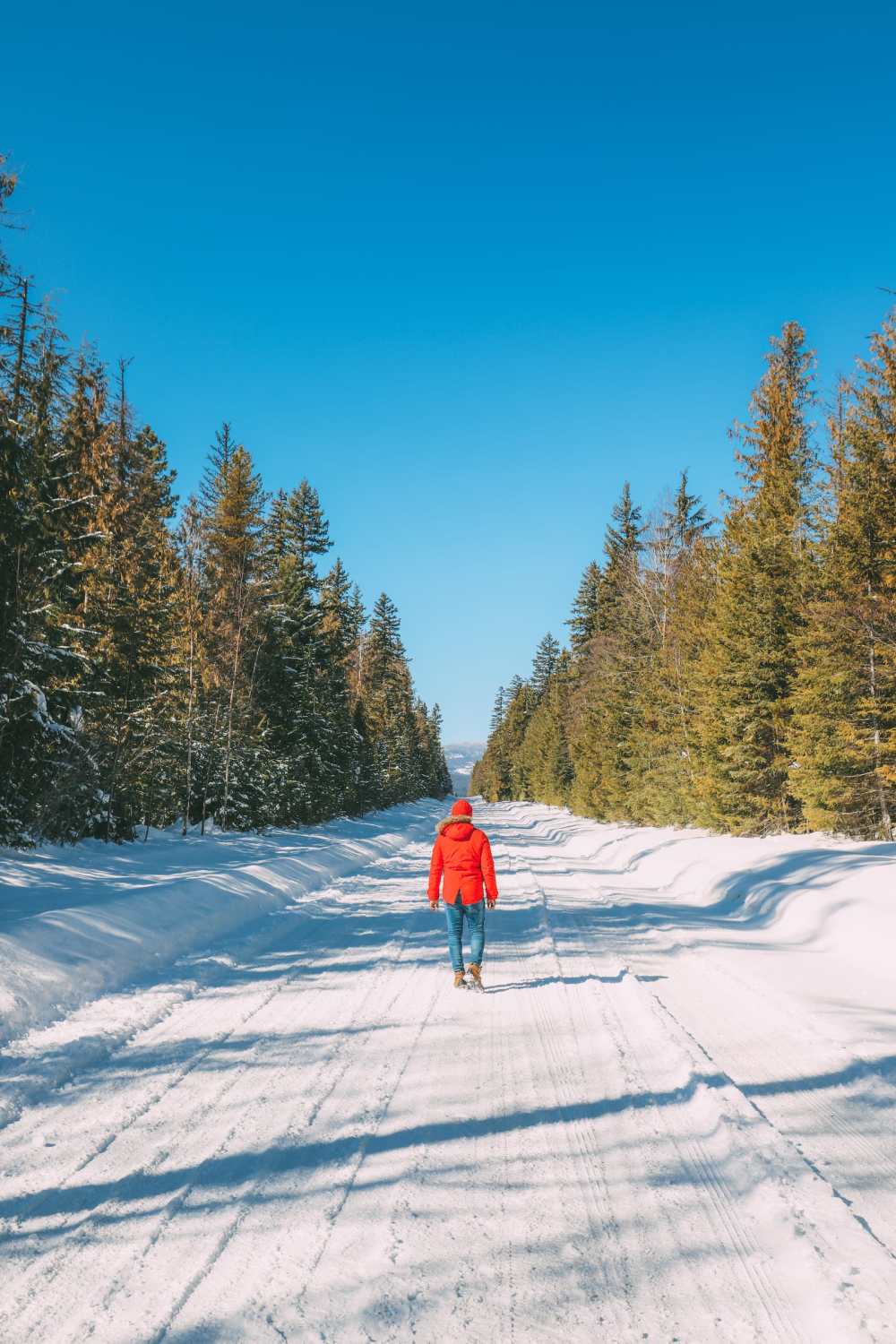 Places To See On A Drive From Vancouver To Calgary (14)
