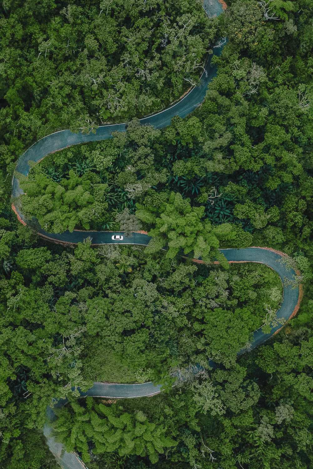 Best Things To Do In Puerto Rico (14)