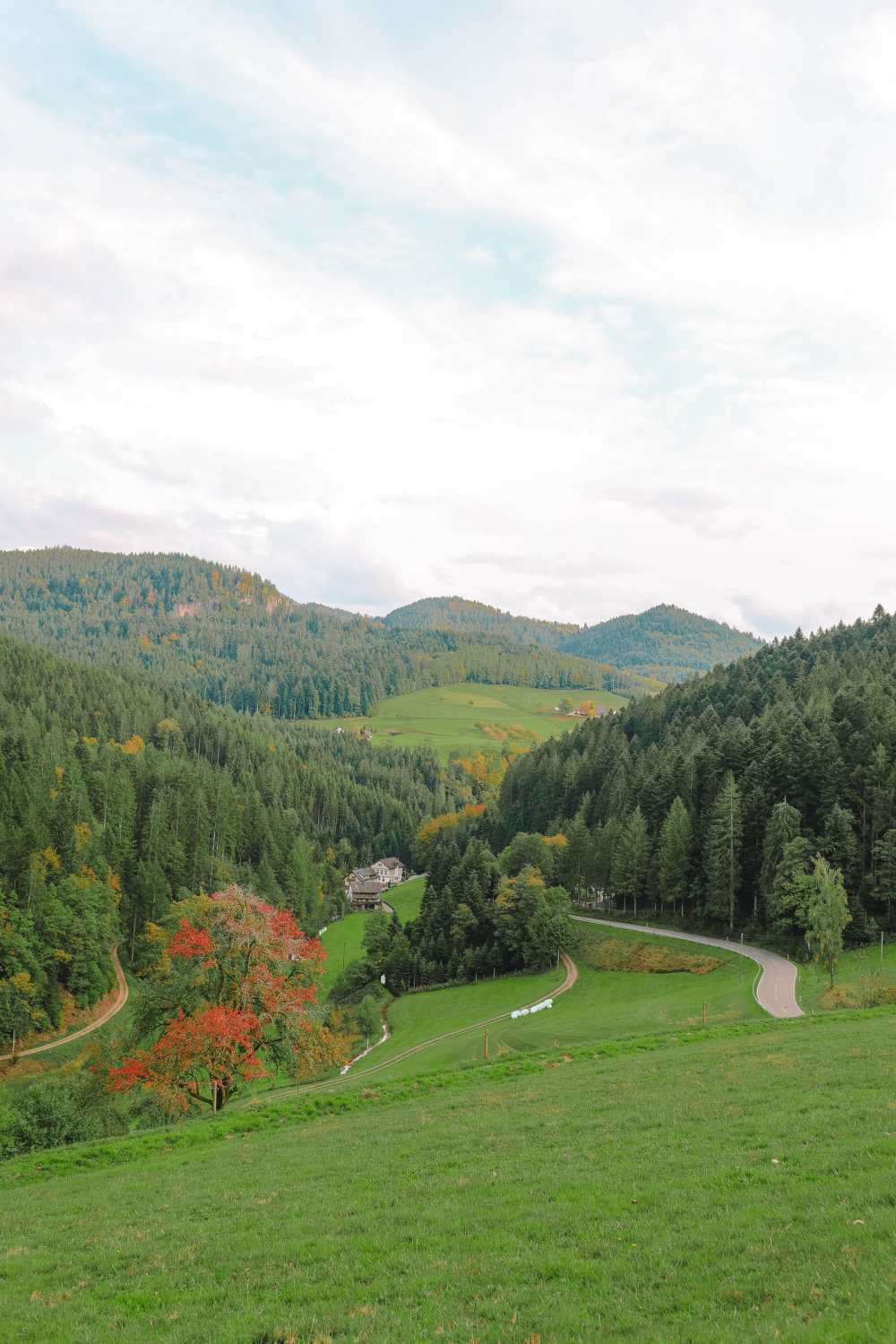 Best Things To Do In The Black Forest (39)