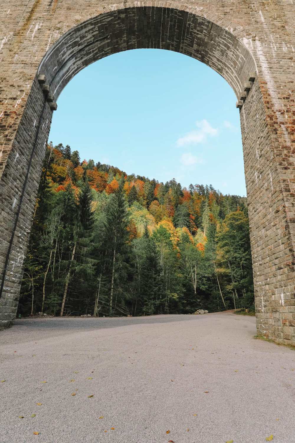 Best Things To Do In The Black Forest (46)