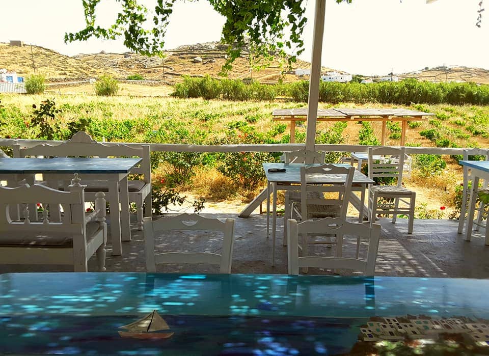 How about going wine tasting at Vioma Vineyard on your luxury holiday in Mykonos