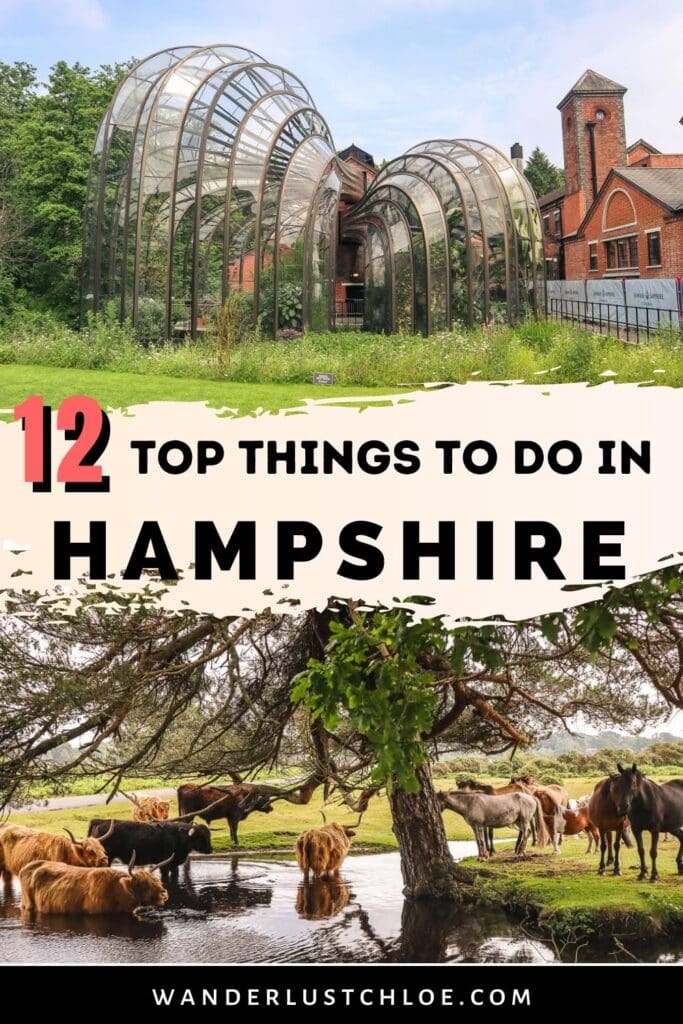 things to do in hampshire