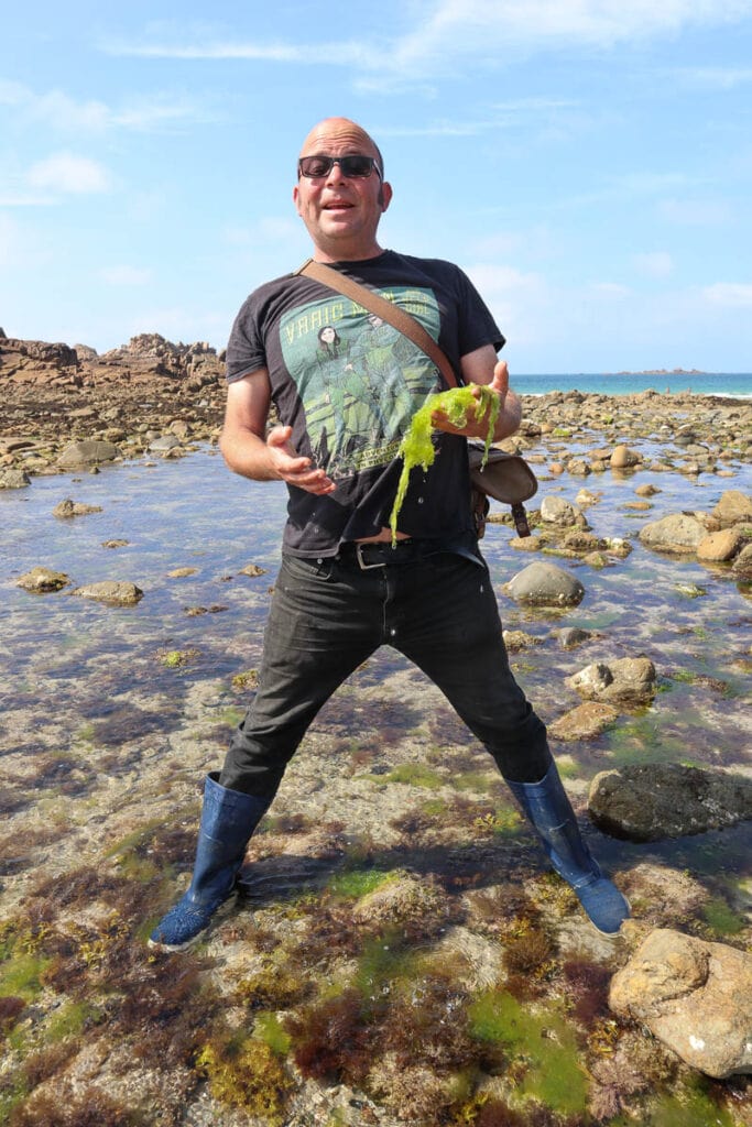 Seaweed tour in Guernsey