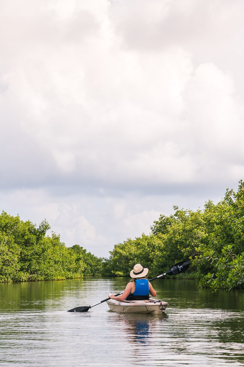 Kayaking through the mangroves in Florida