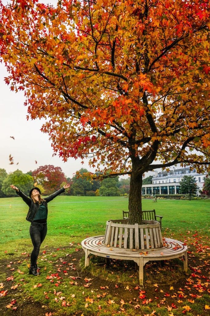 Enjoying Autumn in Cannizaro Park, Wimbledon
